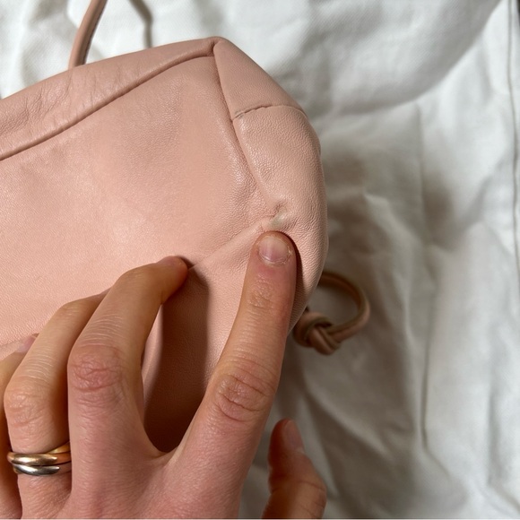 Mansur Gavriel Mini Lambskin Cloud Clutch Bag Color Puff - Picture 6 of 9